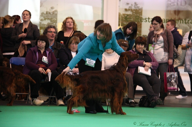 Crufts2011 745.jpg